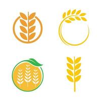 Wheat logo template vector