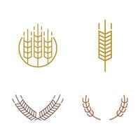 wheat Logo Template vector