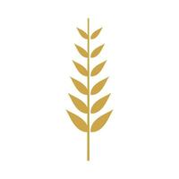 Wheat logo template vector