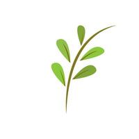 Green leaf illustration vector