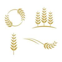 Wheat logo template vector