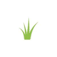 logotipo de aloe vera vector