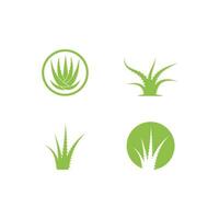 Aloe vera logo vector