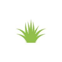 logotipo de aloe vera vector