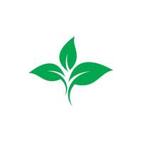 Green leaf logo icon vector