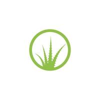 logotipo de aloe vera vector