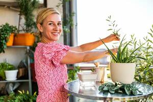 Happy woman gardening on balcony at home. She is looking growth of her Aloe Vera plant and Olive tree. photo
