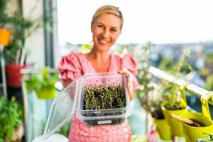 Happy woman showing  sprouts of broccoli from her garden on balcony. Focus on  sprouts of broccoli . photo