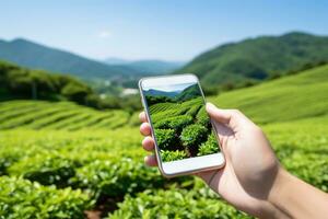 AI generated Portrait of a tea plantation worker. AI Generated photo