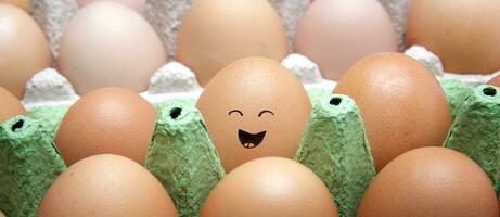 a laughing country brown egg lies in a cardboard box with other eggs.brown egg with happy face photo