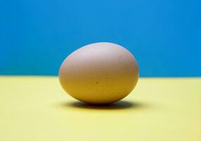 fresh beautiful chicken egg on the background of the Ukrainian flag. selective focus. High quality photo