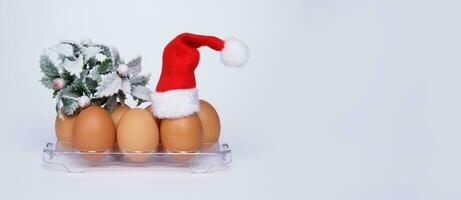 chicken eggs in a tray with a sprig of Christmas tree and on one of the eggs a Santa hat on the white background photo