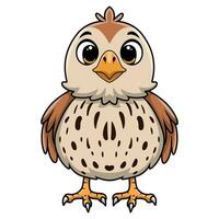 Cute quail bird cartoon on white background vector