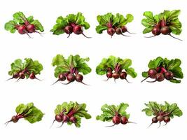 AI generated beetroot with leaves collection isolated on white background photo