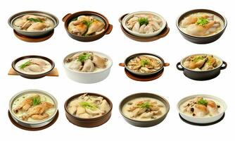 AI generated Samgyetang collection isolated on white background photo