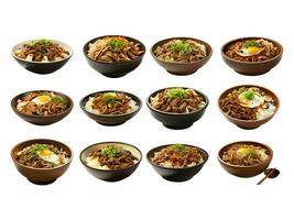 AI generated Gyudon collection isolated on white background photo