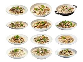 AI generated Veal blanquette collection isolated on white background photo