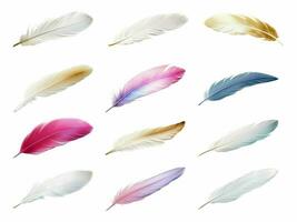 Feather collection isolated on white background with AI generated. photo