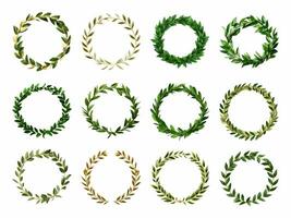 Laurel wreath collection isolated on white background with AI generated. photo