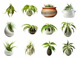 Plant pot collection isolated on white background with AI generated. photo