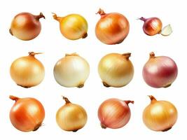 Onion collection isolated on white background with AI generated. photo