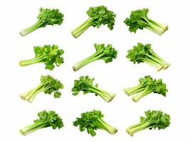 Celery collection isolated on white background with AI generated. photo
