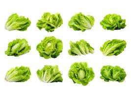 Lettuce collection isolated on white background with AI generated. photo