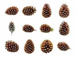 Pinecone collection isolated on white background with AI generated. photo