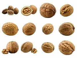 Walnut collection isolated on white background with AI generated. photo