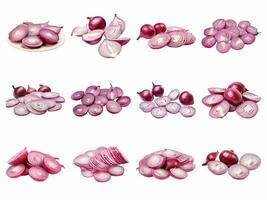 red onion cut collection isolated on white background with AI generated. photo