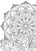 Tropical exotic flowers on the background of Mandala pattern. Coloring book page for adults. Plant outline and circular abstract pattern isolated on white background. vector