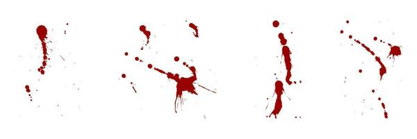 Paint Brush Splatter Set. Blood Stain Collection. Red Ink Splat, Grunge Texture. Drop Spatter, Horror Bloodstain Splash. Spray Abstract Design on White Background. Isolated Vector Illustration.