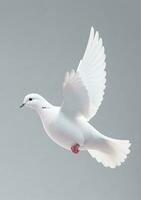 Flying Dove Isolated On A White Background. AI Generated photo