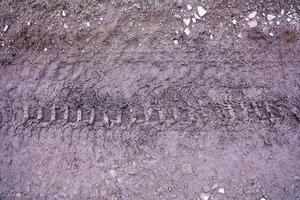 Wheel track on mud. Traces of a tractor or heavy off-road car on brown mud in wet meadow photo