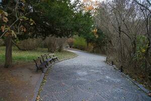 Beautiful Nature Autumn landscape. Scenery view on autumn city park with golden yellow foliage in cloudy day photo