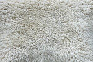 Sheep fur texture, white or gray animal patterns for nature background photo