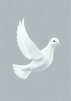 Dove Isolated On A White Background. AI Generated photo