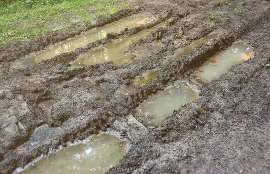 Muddy tracks with puddles on wet muddy surface in forest path photo