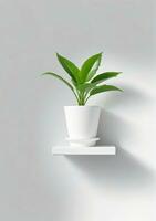 Shelf With Plant Isolated On A White Background. AI Generated photo