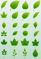 Set Of Green Leaves Isolated On A White Background. AI Generated photo