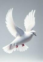 Dove Isolated On A White Background. AI Generated photo