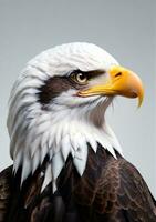 Bald Eagle Isolated On A White Background. AI Generated photo