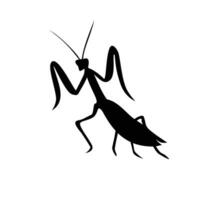 praying mantis silhouette design. wild bug animal sign and symbol vector