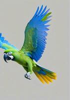 BlueWinged Macaw Isolated On A White Background. AI Generated photo