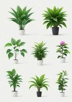 Collection Of Plants Isolated On A White Background. AI Generated photo