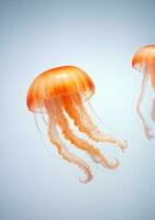 Jellyfish Isolated On A White Background. AI Generated photo