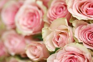 ramo de flores de vistoso rosas como fondo, de cerca. rosado flores foto
