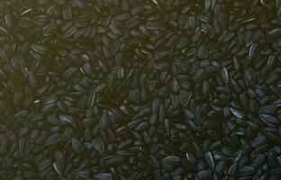 A pattern of many unprocessed fried sunflower seeds in a black shell. photo
