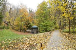 Beautiful Nature Autumn landscape. Scenery view on autumn city park with golden yellow foliage in cloudy day photo