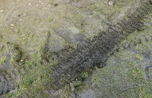 Wheel track on mud. Traces of a tractor or heavy off-road car on brown mud in wet meadow photo